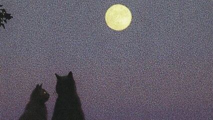 Dois gatos observando a lua